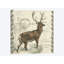 Elk, impression sur toile tendue Regal-74879427-74879426-19754615