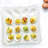 Martha Stewart 12 Inch Ceramic Deviled Eggs Serving Platter In White