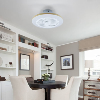 Ceiling Fan with LED Lights