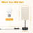 Desk Lamp