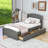 Divyansh Twin Size 2 Drawers Platform Bed with Headboard-299397484