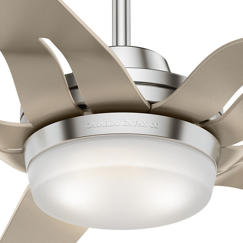 56" Correne 5 - Blade LED Standard Ceiling Fan with Remote Control and Light Kit Included, Champagne