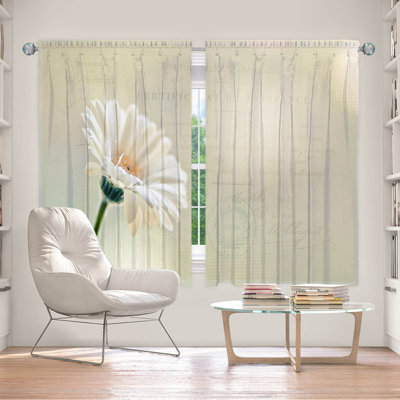 Elazer Room Darkening Curtain Pair