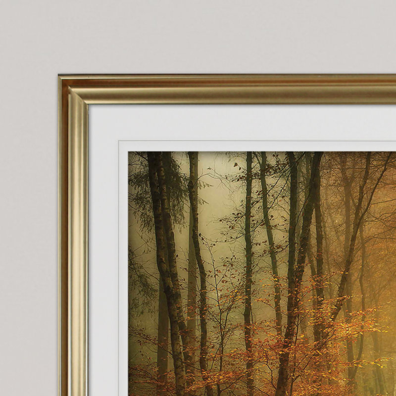 « early light », reproduction de photo, Cadre doré, H 28 po x l 38 po x p 1,5 po