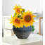 Vase en céramique rustique avec 2 poignées-374973255
