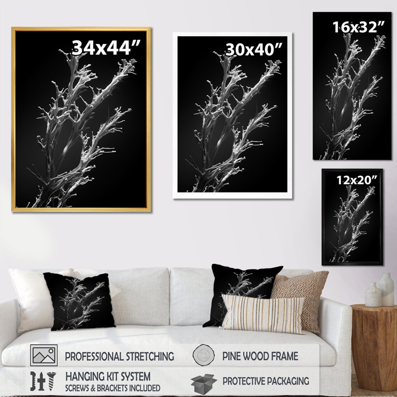 «Black and White Coral Plant - Beach & Ocean», reproduction sur toile, H 32 po x l 24 po x P 1 po, Cadre flottant naturel