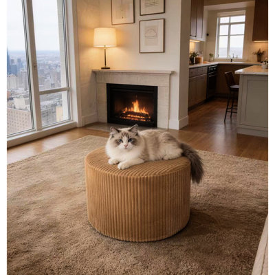 Velours côtelé de gingembre - entièrement comprimé, sans assemblage, idéal pour les petits espaces et les décors modernes, profondeur de 24 po, hauteur de 15 po, rembourrage de 9 lb, polyvalent comme extension, s'adapte aux intérieurs, large, haut,