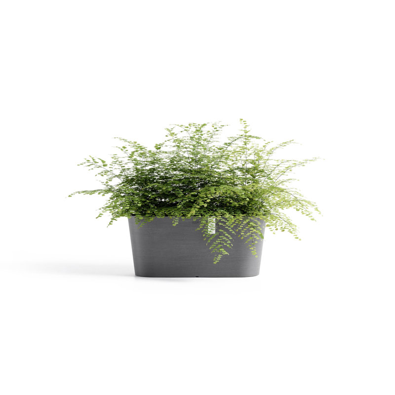 Pot Planter, 6.5" H x 15.75" W x 6.5" D, Gray