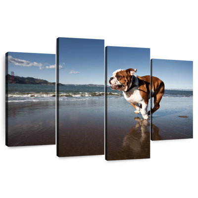 Brampt Dog Beach Run