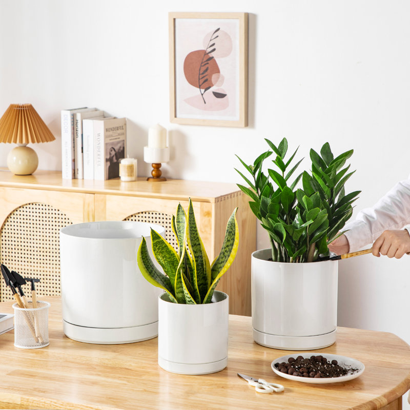 FLHPOT Ceramic Pot Planter, White