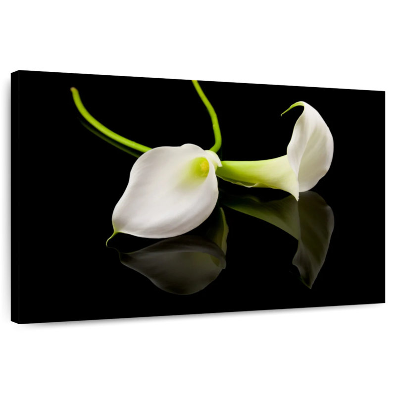 Fleur de lis Harnek Calla, H 16 po x l 24 po