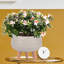 Concrete Effect Bowl Planter on Hardwood Legs, Round Indoor Plant Pot Stand for Indoor Plants, Shallow Planter with Plaited Pattern-31834696-31834697