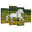Shire à cheval dans la prairie-108901782