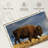 Brampt Walking American Bison-107691920
