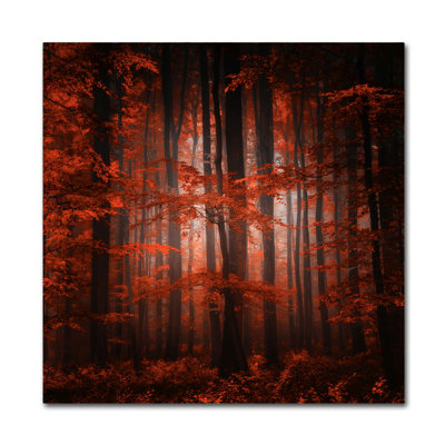 « red parallel univers », reproduction de photo sur toile tendue encadrée