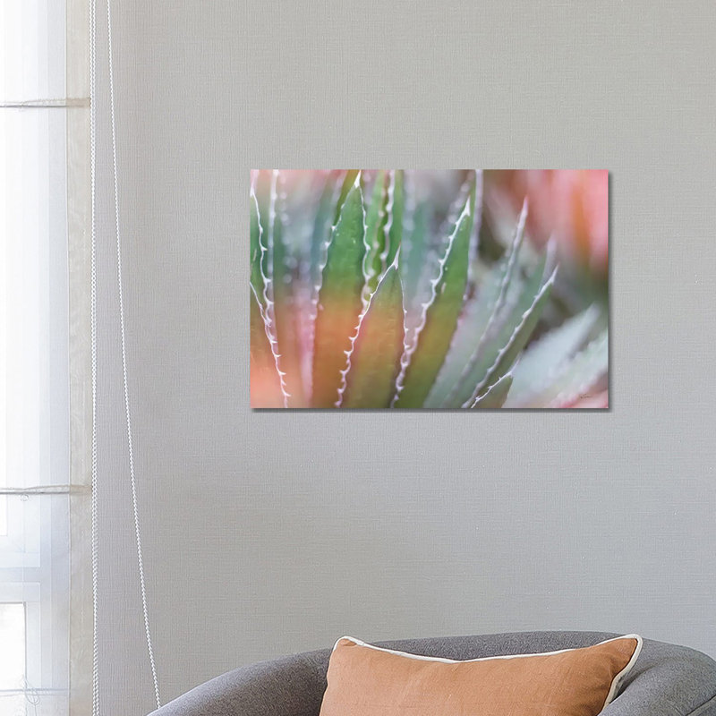 Dream Desert III by Sue Schlabach - Wrapped Canvas Print, 66.04 cm H x 45.72 cm W