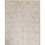 Ziegler Wool Oriental Area Rug