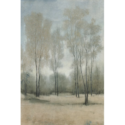 Tamasine A Woodland Walk I by Tim OToole - Wrapped Canvas Print