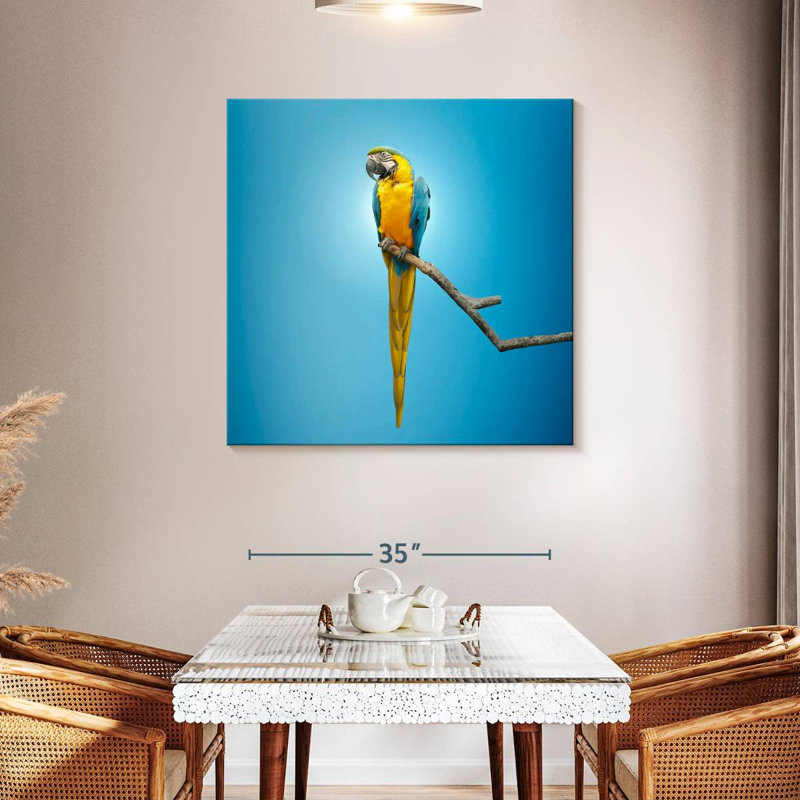 Macaw, 39" H x 39" W