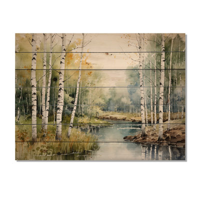 Izaeah " Birch Woods Silent Woods II "