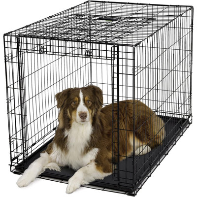 Ovation Single Door Dog Crate, 42-Inch