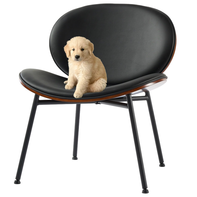 Chaise en métal avec pieds en métal noir, Noir
