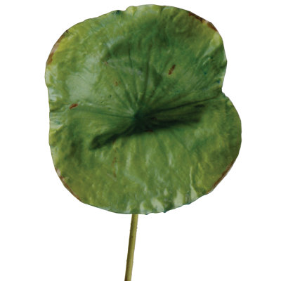 28'' Faux Foliage Plant