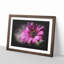 Purple Daisy - Picture Frame Graphic Art-56876061-56876064