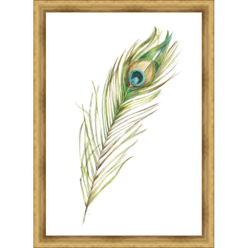 " Peacock Feather II "