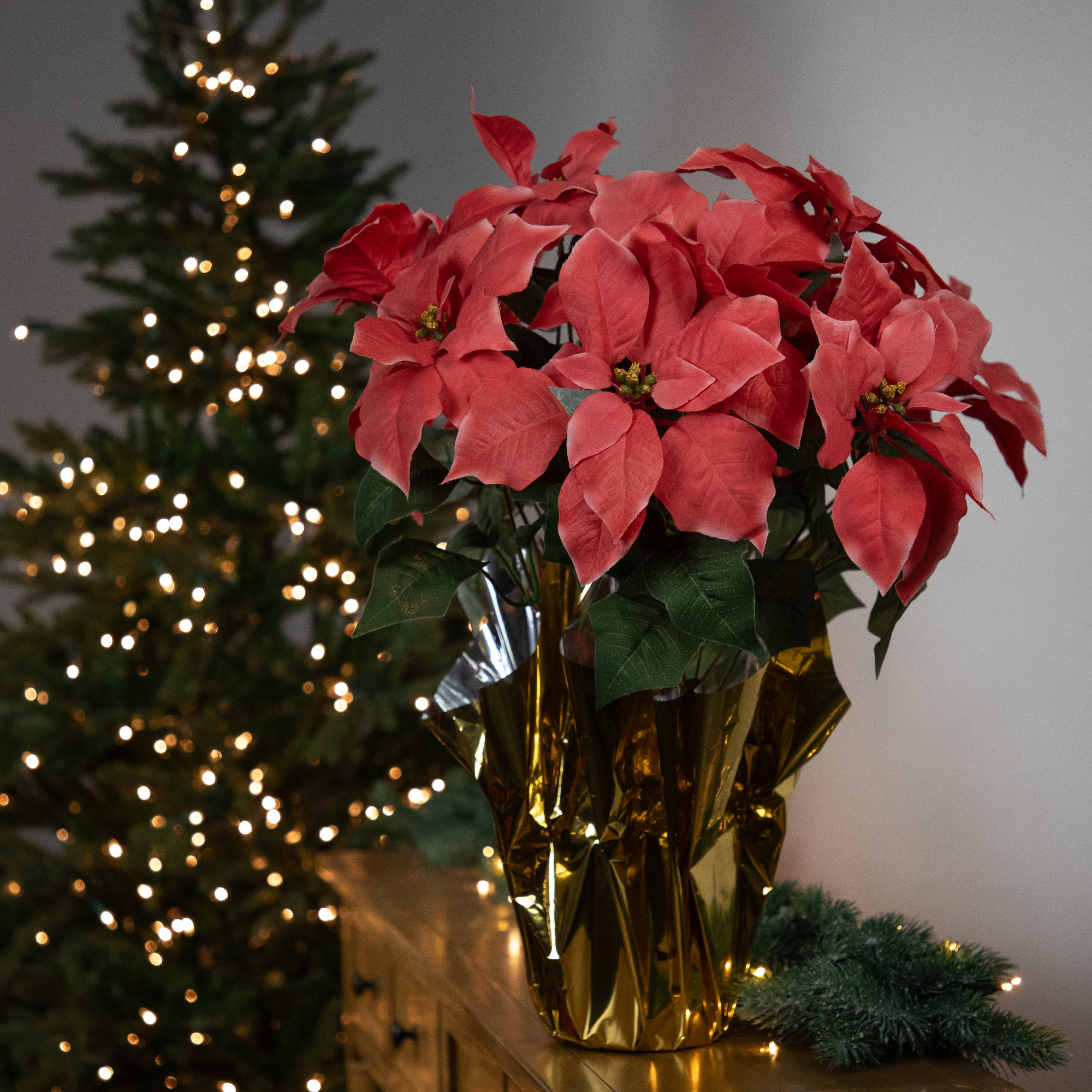 Poinsettia Arrangement, 20" H x 15" W x 15" D, Pink, Gold