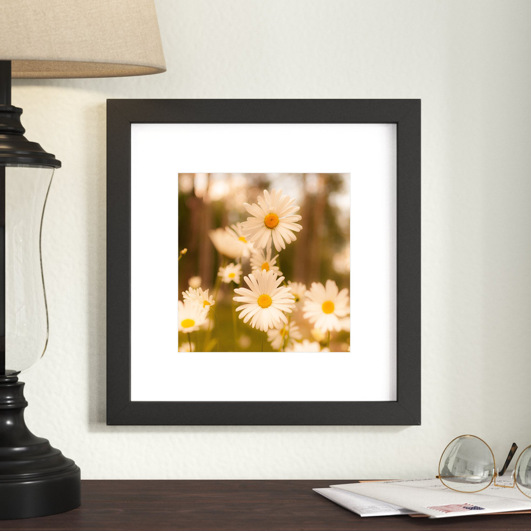 Amnah Wood Picture Frame Lark Manor™