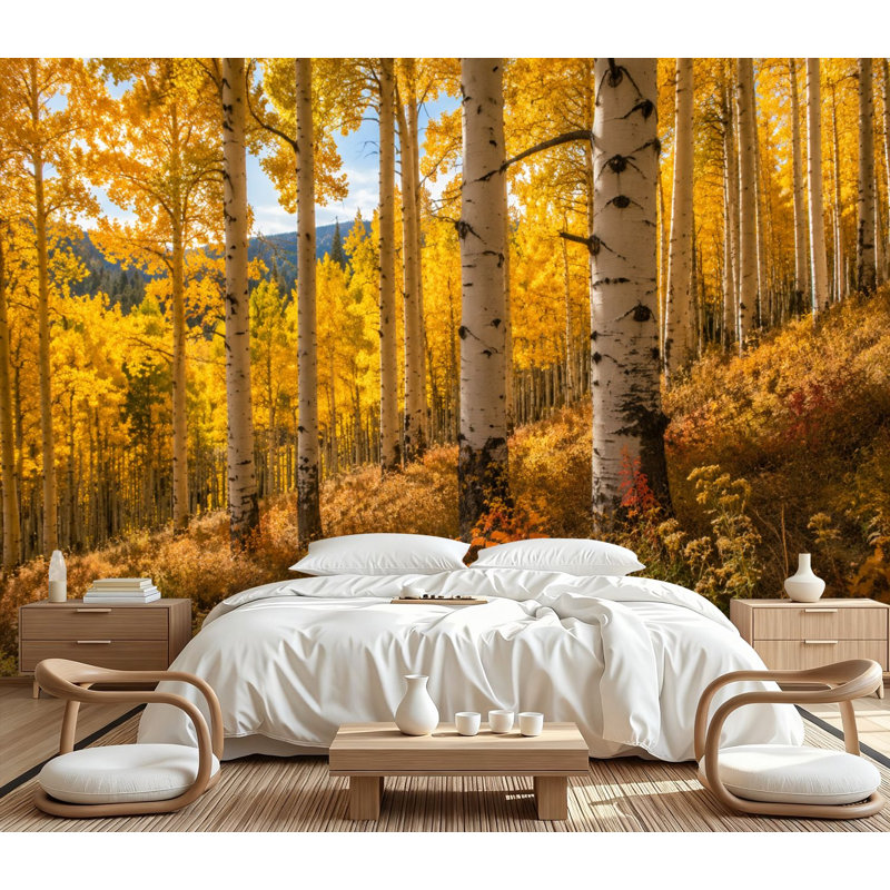 Papier peint adhésif autocollant Aspen Trees Fall, L 100,08 po x l 144 po