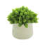 Faux Succulent in Fiberstone Pot-1601367899