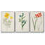 Fleurs des saisons IV, reproduction sur toile 3 pièces-91891296-91891295