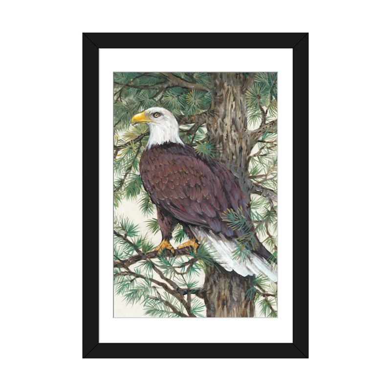 «Eagle in the Pine», reproduction d'art sur toile tendue, Papier d'art encadré noir, Blanc, H 32 po x l 24 po x P 1 po