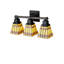 Prairie Corn 3 - Light Vanity Light