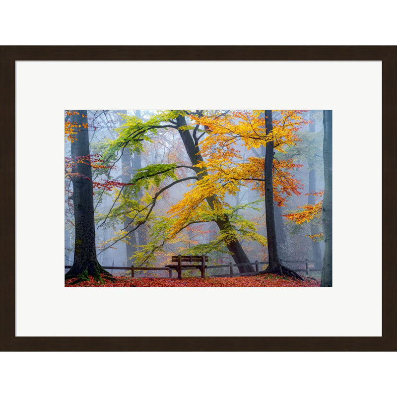 Lars Van De Goor Framed Landscape Art with Dark Bronze Frame