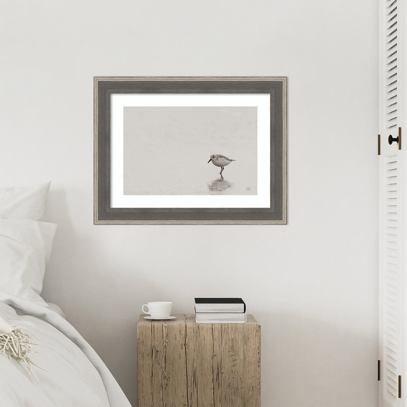 «Tybee Island Sanderling» par Waynesville, reproduction d'art encadrée sur bois, 22 x 29, Cottage Grey Silver