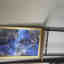 Customer photo 2 of 2
