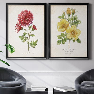 «Botanical III», ensemble de 2 reproductions d'impressions