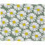 Collection de housse de couette