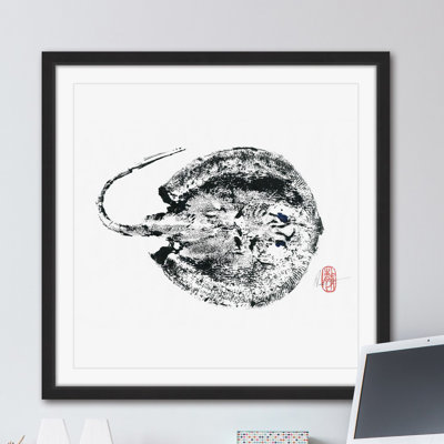 " Stingray Black " by Andrew Clay