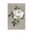 Botanical Rose by Nan - Print on Canvas-887525962-887525963