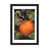 Black Framed Fine Art Paper is unavailable