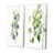 Toile tendue