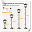 Lampadaire solaire 63 "Ezariyah 2Pack, Lampadaire d'extérieur imperméable Ezariyah-510794918