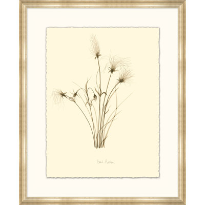 Prairie Smoke Painting