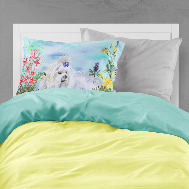 Alaskan Microfiber, Maltese