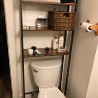 Appling 24.8 W x 64.2 H x 9.2 D Over-the-Toilet Storage Rebrilliant