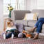 Coussin Canales